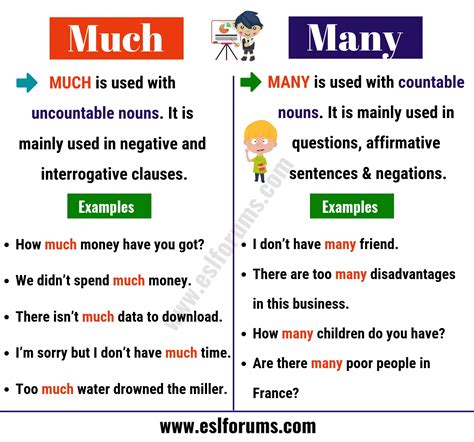 much money|English Grammar: Much Many A Lot Of (A Comprehensive Guide)